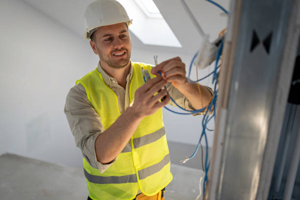 Best Electric Panel Repair  in Jackson, MN
